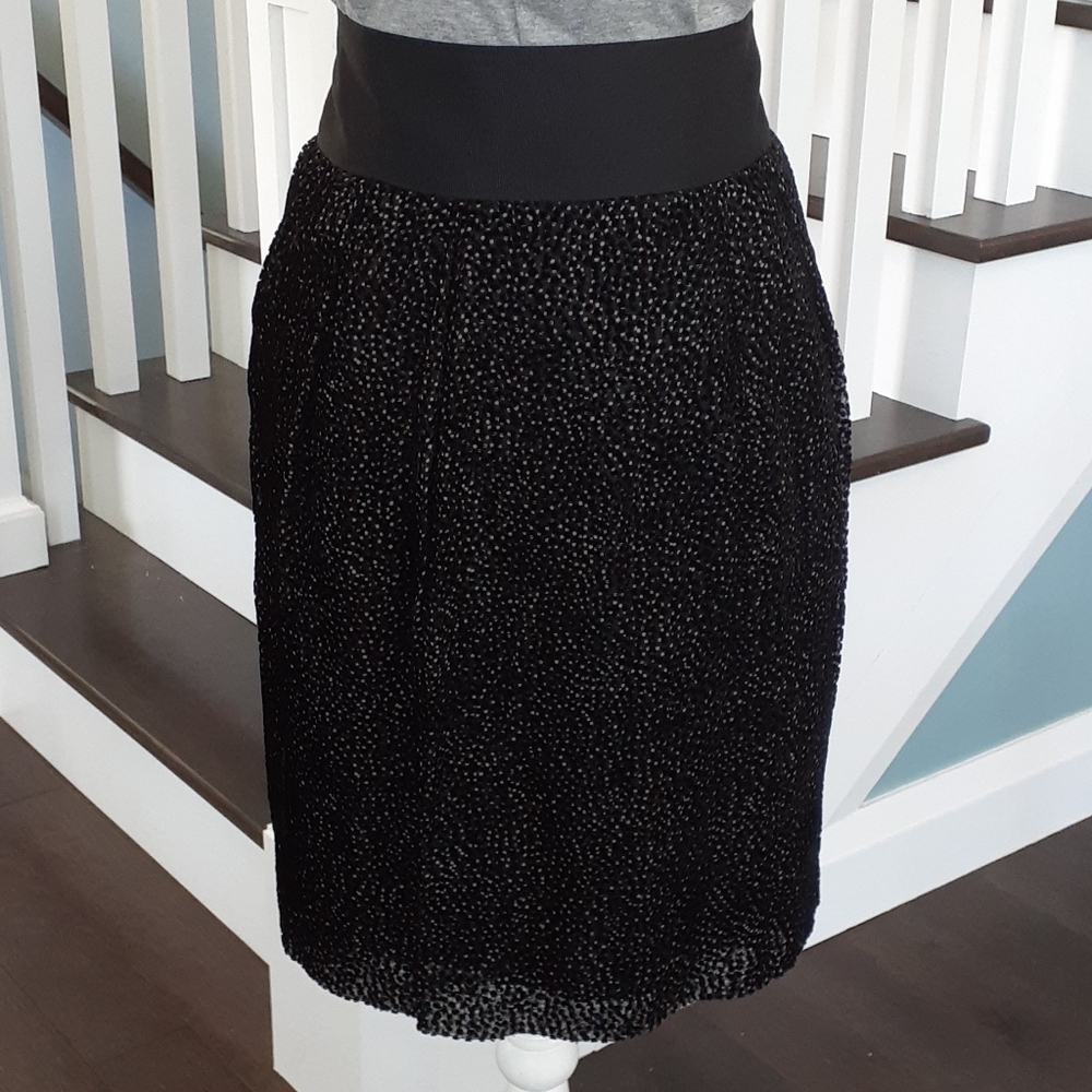 ^ Flirty RW&CO. chiffon & flocked velvet skirt